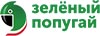 Зеленый Попугай